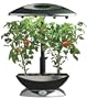 AeroGrow AeroGarden 6 Elite Plus with Ruby Heirloom tomato seed kit and a trellis system