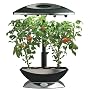 AeroGrow AeroGarden 6 Elite Plus with Mega Cherry Tomato Seed Kit, Black with Stainless Accents
