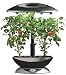 AeroGrow AeroGarden 6 Elite Plus with Mega Cherry Tomato Seed Kit, Black with Stainless Accents