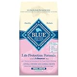 Blue Buffalo Dry Dog Food for Small Breed Puppies, Chicken and Oatmeal Recipe, 15-Pound Bag