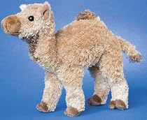 Lawrence Camel 8