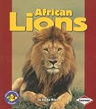 African Lions