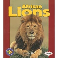 African Lions