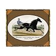 Brown Jug Horse Tapestry Throw Blanket