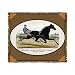 Brown Jug Horse Tapestry Throw Blanket