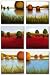 Paisaje I-VI Set by Ivan Reyes 12"x12" Art Print Poster Latin