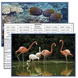ANIMALS LITERACY CARDS