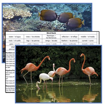 ANIMALS LITERACY CARDS