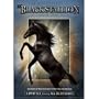 The Adventures of the Black Stallion : The Complete Third Season