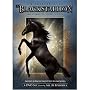 The Adventures of the Black Stallion : The Complete Third Season