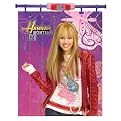 Hannah Montana Screen Scenez