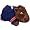 Virginia Cavaliers