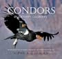 Condors in Canyon Country: The Return of the California Condor to the Grand Canyon Region