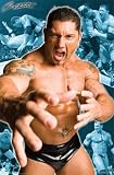 WWE Wrestling - Batista Collage - 22.5