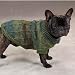 Pet Supplies : Dog Sweater - Maine Forest Knit Pet Sweater - Large