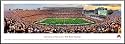 Minnesota Golden Gophers University of Minnesota TCF Stadium-Unframed