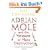 Adrian Mole and the Weapons of Mass Destruction