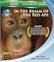 Wild Asia 1: In the Realm Of The Red Ape [Blu-ray]