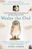 Kindle Edition Coverpage image