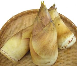山城産【おまかせ】白子たけのこ2kg
