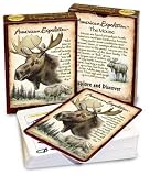 Moose Playing Cards
