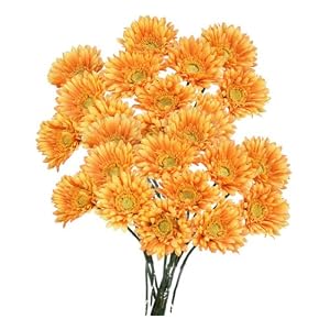 flower, flower pot, artificial flower, nasturtium hanging flower, daisy flower, silk flower, artificial silk flower, flower holder, flower with holder, beautiful flowers, good looking flower