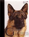Best Breed German Shepherd - an Experts Guide