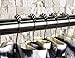 Shower Curtain Rings Stainless Steel Rustproof Friction Free Gliding Set of 12 Hooks