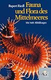 Fauna und Flora des Mittelmeeres - Rupert Riedl