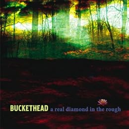 Buckethead Picture 4