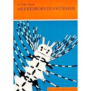 Meeresborstenwürmer: Polychaeta