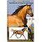 Favorite Equine Anatomy References for Artists