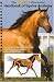 The Equus Illustrated Handbook of Equine Anatomy, Volume 1, The Musculoskeletal System: The Anatomy of Movement and Locomotion