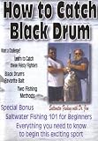 How to Catch Black Drum