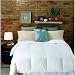 51x91lVpMYL. SL75  Hotel Collection Light Weight Down Comforter, King