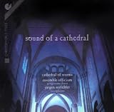 Sound of a Cathedral: Gregorian Chant and Saxophone Improvisations