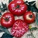 Rose Brandywine Tomato 3 Plants - Deep Pink & Smooth - ORDER NOW!