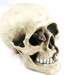 Tirelire "T�te de Mort"