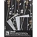 Black Ink DP-701 Decorative Paper Pack, 8.5 by 11-Inch, Meadow Flowers Black