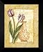 Pat Cockrell FRAMED Art Print 20x24 "Fringed Tulip"