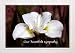 Our Heartfelt Sympathy Greeting Card