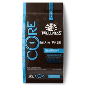 Wellness CORE Natural Grain Free Dry Dog Food, Ocean Recipe, 26-Pound Bag Wellness CORE Natural Grain Free Dry Dog Food, Ocean Recipe, 26-Pound Bag