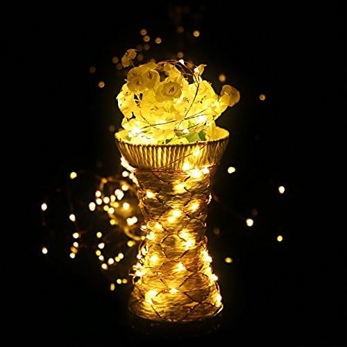 Tumtung 14ft 40 Leds Flexible Copper Wire LED String Lights AA Battery Powered, Holiday Home Decorative LED Lights (Warm White)