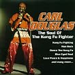 The Soul Of Kung Fu Fighter