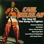Soul of Kung-Fu Fighter