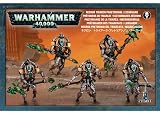 Warhammer 40k: Necrons - Lychguard / Triarch Praetorians