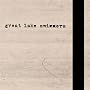Great Lake Swimmers
