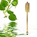 BODY BATH BRUSH to Exfoliate Skin Naturally with 16