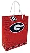 Georgia Large Gift Bag