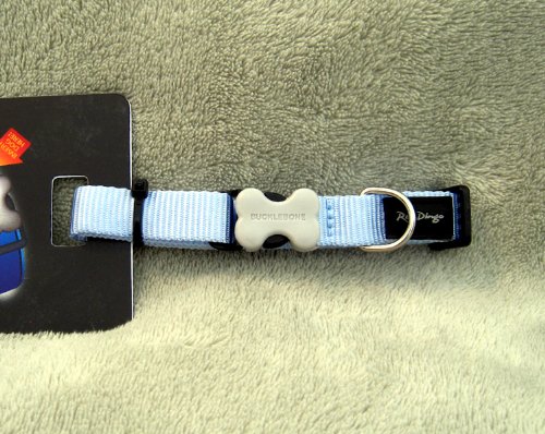 Red Dingo Dog Collar, Small, Light Blue